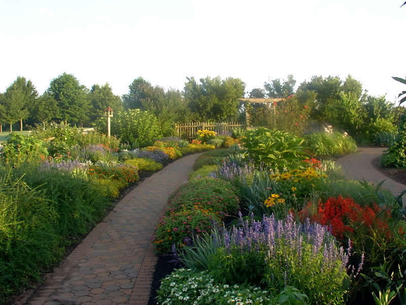 Neath and Port Talbot gardener